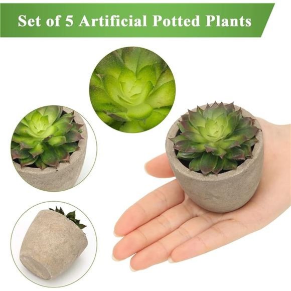 5 Pack Potted Artificial Succulent Plants Assorted Decorative Faux Fake Decor - Picture 2 of 6